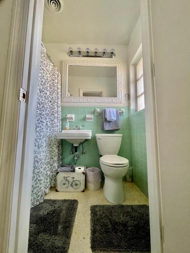 a bathroom with a toilet and a sink and a mirror at Rowena House 2bd Den 2bth Heated Pool Near Siesta Key in Sarasota