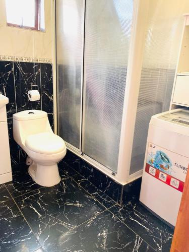 a bathroom with a toilet and a shower at Cabaña en Puerto Natales in Puerto Natales