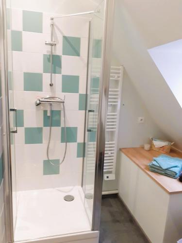une salle de bain avec douche et lavabo dans l'établissement Appartement 48m² / HyperCentre (Gares et Vieux Lille), à Lille