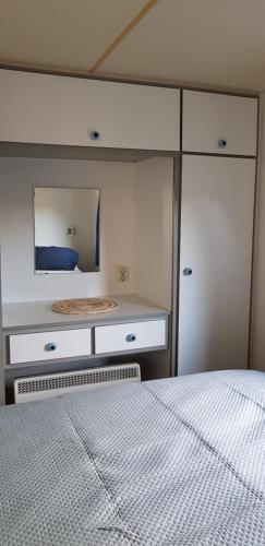 een slaapkamer met een bed en een dressoir met een spiegel bij Carafun aan het water Ooltgensplaat in Ooltgensplaat
