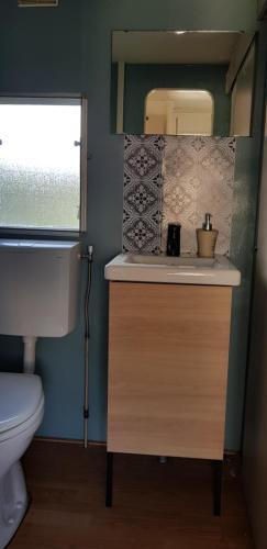 een badkamer met wastafel en toilet bij Carafun aan het water Ooltgensplaat in Ooltgensplaat