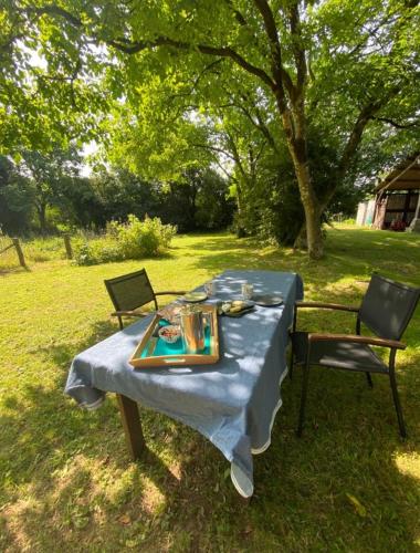 a picnic table with a blue table cloth and two chairs at chambre familiale 4 pers SDB partagée sans TV in Le Saint