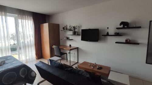 a living room with a couch and a tv at Condominios W Nordelta Bahia,Tigre,Parking,Gym in Tigre