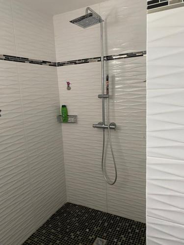 a shower in a bathroom with white walls at Domaine de Dugay in Beauregard
