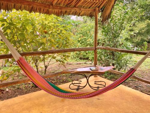 a hammock with a phone sitting on top of it at Encantadora Villa Maya tradicional en Rancho Agroecologico in Tzucaceb