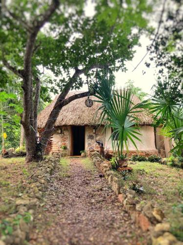 a building with a grass roof with a palm tree at Encantadora Villa Maya tradicional en Rancho Agroecologico in Tzucaceb
