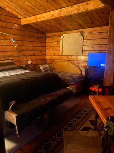 a bedroom with a bed and a television in a cabin at Cantwell Lodge in Cantwell