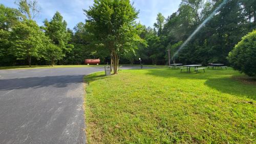 a street with a park with benches and a tree at Stonewood Inn & Suites of Carrollton - Smithfield in Carrollton