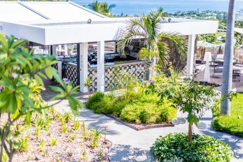 a view of a patio with trees and plants at Latitude 21 in Saint-Gilles les Bains