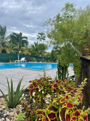 a garden with flowers and a swimming pool at Le Colibris du Lamentin in Lamentin