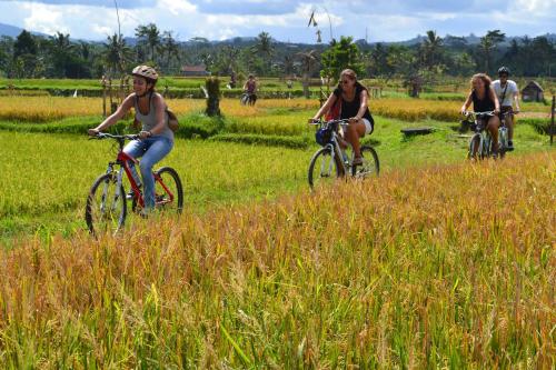 a group of people riding bikes in a field at Bali Culture Guesthouse in Ubud