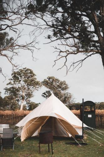 a tent sitting in the grass under a tree at Coonawarra Bush Holiday Park in Coonawarra