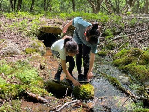 two women are picking up moss from a creek at Mineyama Kogen Hotel Relaxia in Kamikawa