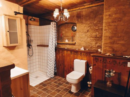 La salle de bains est pourvue d'une douche et de toilettes. dans l'établissement Vintage-Design Ferienwohnung Viktoria, à Bad Klosterlausnitz