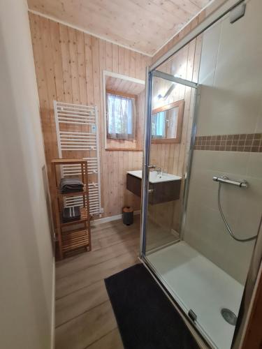 a bathroom with a shower and a sink at Aux P'tioux Bonheurs in Le Noyer