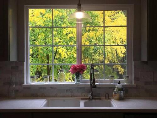 普萊瑟維爾的住宿－Cozy private home, 1 acre orchards near Apple Hill，厨房水槽上方的窗户,花瓶