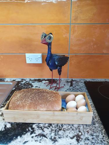 Ảnh trong thư viện ảnh của Garden View Cottages ở Picton