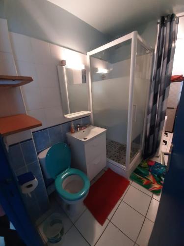 a bathroom with a blue toilet and a shower at T2 tout confort Vue Panoramique in Sainte-Anne