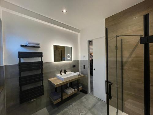 W łazience znajduje się umywalka i prysznic. w obiekcie Quartier 22 w mieście Kurort Steinbach-Hallenberg