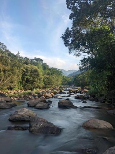 Ayursakthi Riverdale – Photos 4