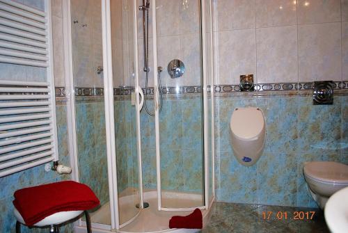 a bathroom with a shower with a toilet and a sink at Seeschloss-App-05 in Heringsdorf