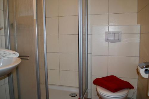 e bagno con doccia, servizi igienici e lavandino. di Haus-Wanda-App-06 a Ahlbeck