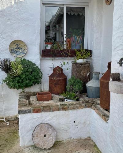 a house with a window filled with potted plants at Monte Carrascal Guesthouse in Salir