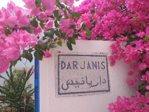 a vase filled with pink flowers on a wall at Dar Janis Djerba دار يانيس جربة in Houmt Souk