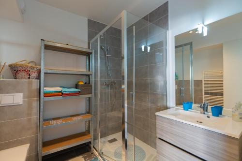 uma casa de banho com um chuveiro, um lavatório e um espelho. em Grand studio bord du lac em Saint-Jorioz