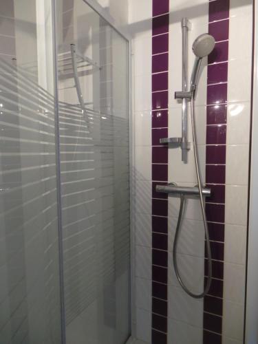 een douche met een glazen deur in de badkamer bij le select in Cap d'Agde