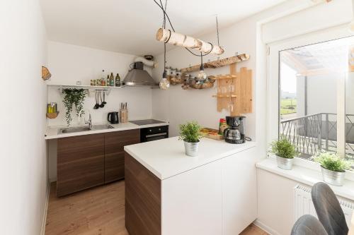 Dapur atau dapur kecil di Apartments Rok