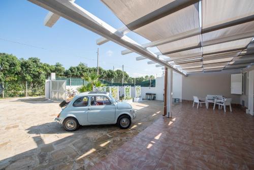 Le meraviglie del mare – Photos 3