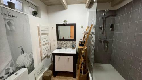 uma casa de banho com um lavatório e um espelho em Joli mazet à Nîmes idéalement situé entre la garrigue et la ville em Nîmes