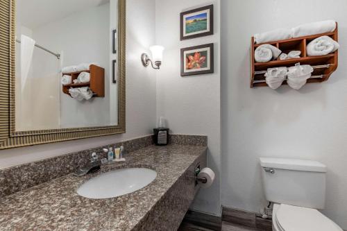 a bathroom with a sink and a toilet and a mirror at Comfort Inn & Suites Gatesville near Fort Cavazos in Gatesville