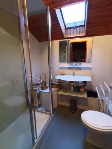 ein Bad mit einem WC, einem Waschbecken und einer Dusche in der Unterkunft Chambres d'hôtes au pied des Pyrénées 