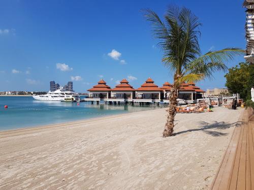 a palm tree sitting on a sandy beach next to the water at EDEN'S Homes & Villas - Anantara The Palm Residences in Dubai