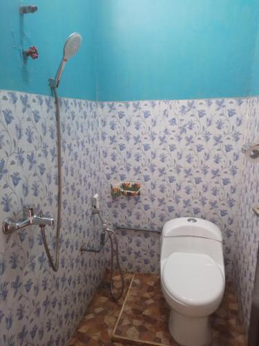 a bathroom with a toilet and a shower at Kristian Homestay in Bajawa