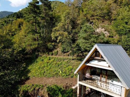a house with a metal roof on a mountain at Highland • Varjanisi in Batumi