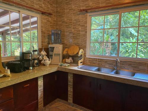 eine Küche mit einem Waschbecken und zwei Fenstern in der Unterkunft Blissful hill top Apartment in Praslin