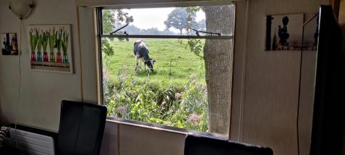 Imagen de la galería de Evenrust, gelegen nabij het Pieterpad, en Coevorden