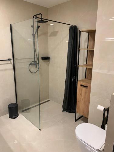 Koupelna v ubytování Apartmán v Krkonoších - Černý Důl