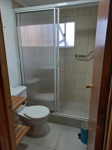 uma casa de banho com um WC e uma cabina de duche em vidro. em Cabañas Frange em Puerto Natales