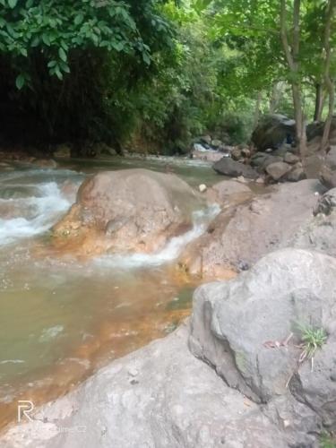 a river with rocks and trees in the background at Kristian Homestay in Bajawa
