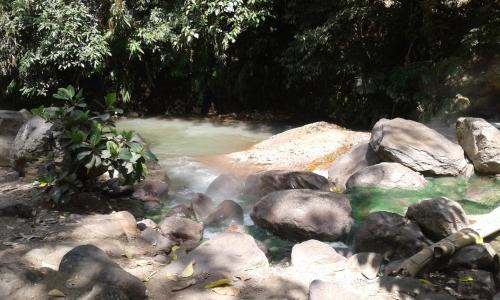 a stream of water with rocks and trees at Kristian Homestay in Bajawa