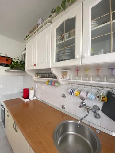 uma cozinha com um lavatório e armários brancos em Danube em Vukovar