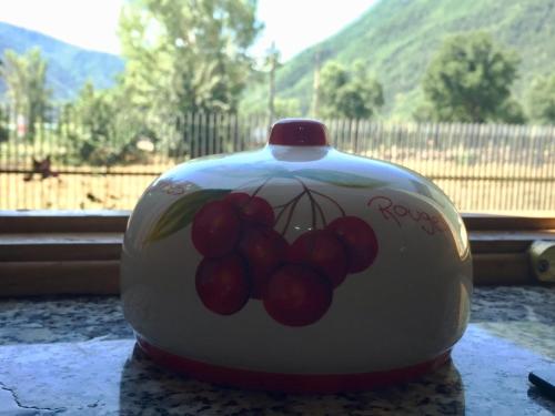 a white vase with a bunch of grapes on it at La Furmumecha VUT-LE-611 Apartamento in Villablino