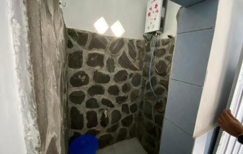 a bathroom with a shower with a fake giraffe wall at Pondok kali oedal in Mendut