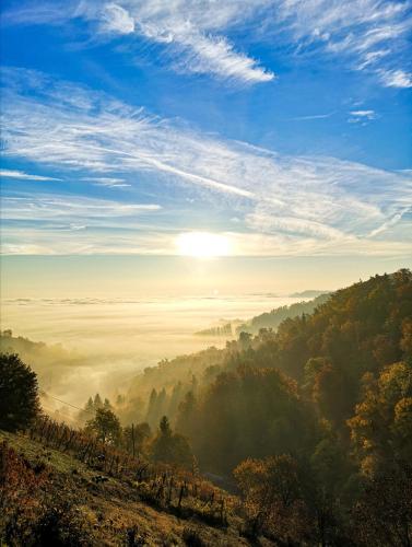 a view of a foggy valley with the sun in the sky at Wellness pod zvezdami, Maribor - PRIVATE in Maribor