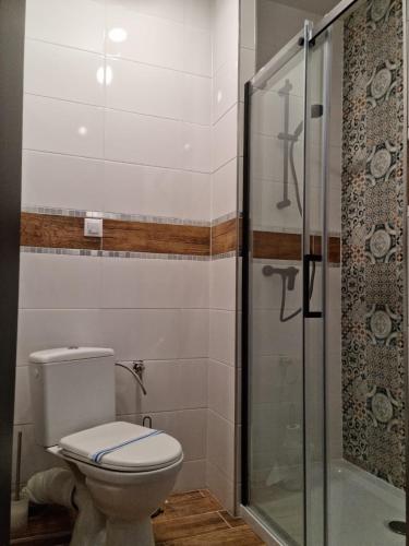 a bathroom with a toilet and a glass shower at Ostoja Karkonoska in Podgórzyn