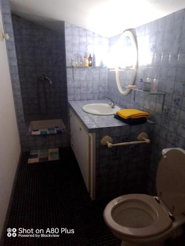 une petite salle de bain avec toilettes et lavabo dans l'établissement La villa, à Labastide-de-Lévis